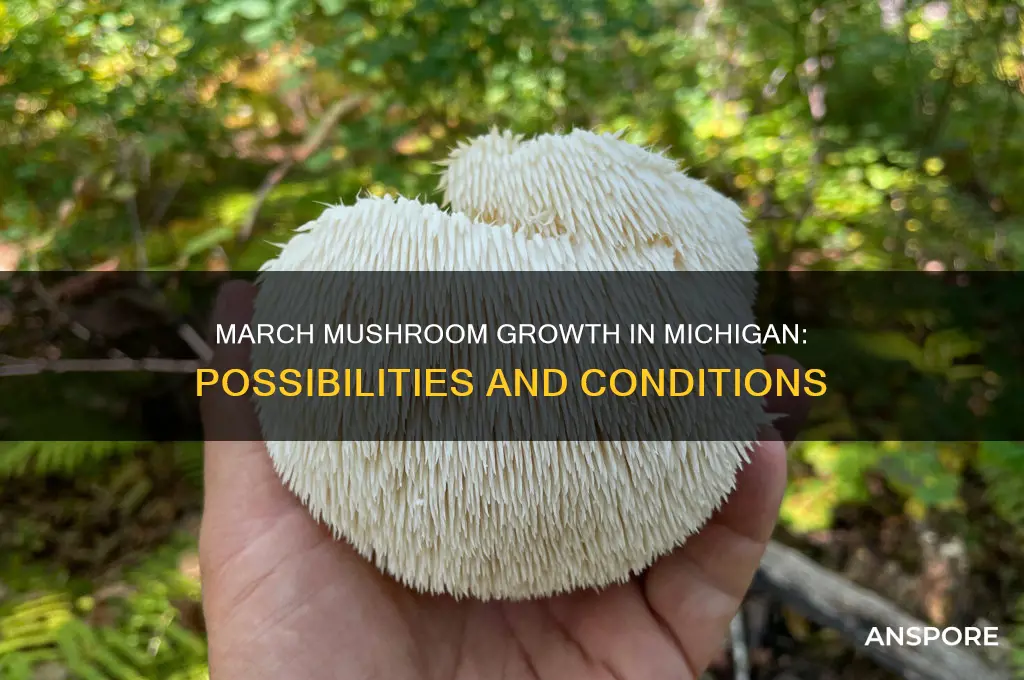 can mushrooms grow in march in michigan