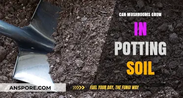 Can Mushrooms Thrive in Potting Soil? A Complete Guide