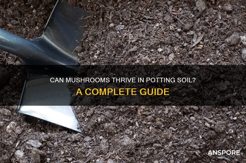 can mushrooms grow in potting soil