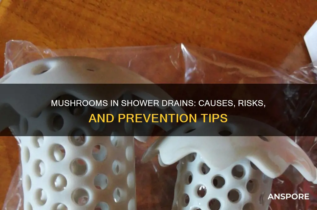 can mushrooms grow in shower drains