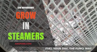 Can Mushrooms Thrive in Steamers? Exploring Growth Methods and Possibilities