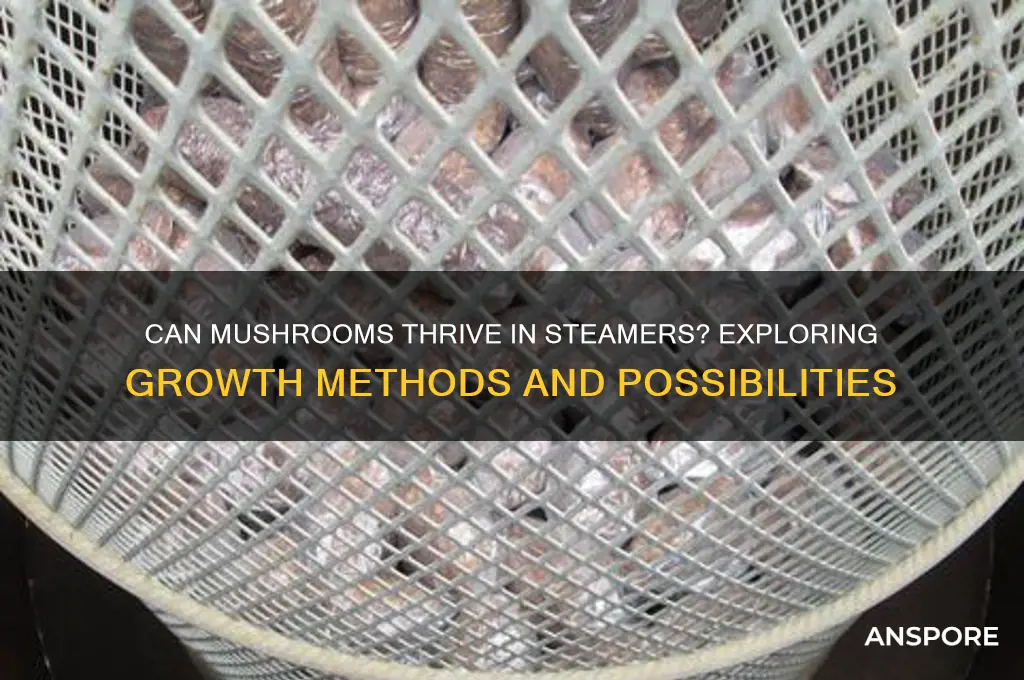 can mushrooms grow in steamers
