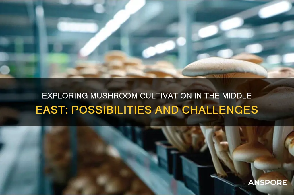 can mushrooms grow in the middle east