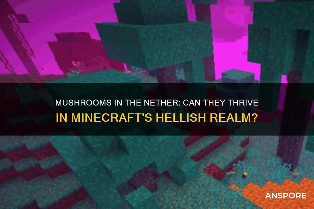 can mushrooms grow in the nether