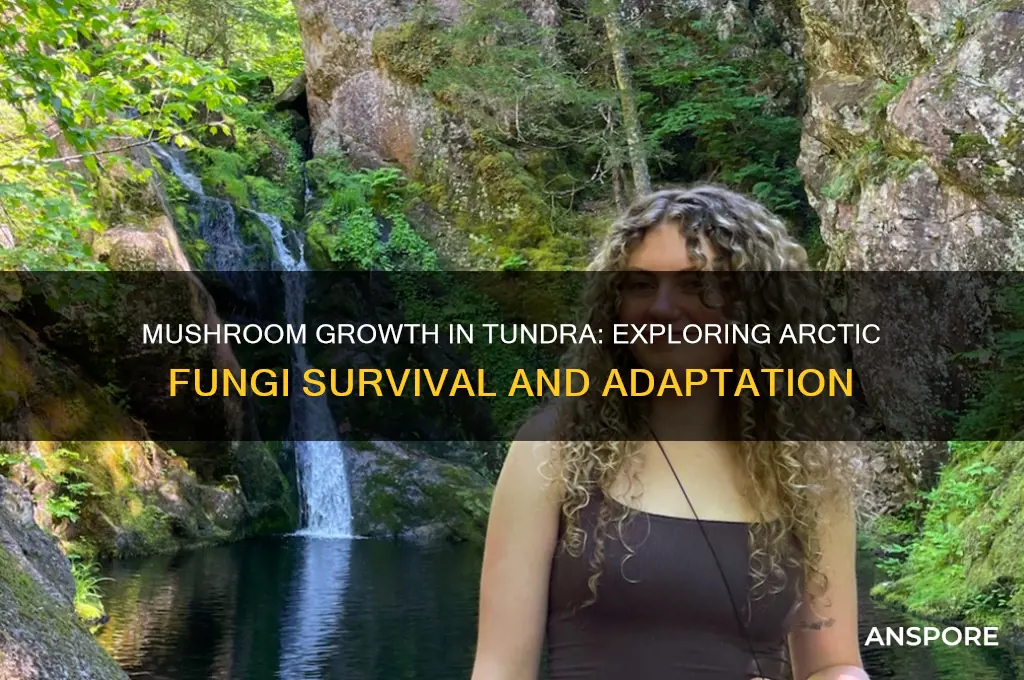 can mushrooms grow in tundra