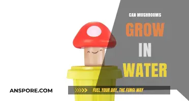 Can Mushrooms Thrive in Water? Exploring Aquatic Fungal Growth