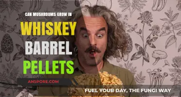 Mushroom Cultivation in Whiskey Barrel Pellets: A Feasible Substrate?