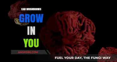 Can Mushrooms Grow Inside Humans? Debunking Myths and Facts