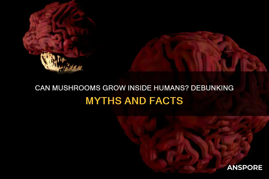 can mushrooms grow in you