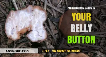 Can Mushrooms Grow in Your Belly Button? Unraveling the Myth