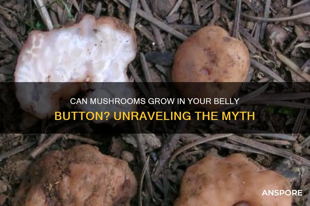 can mushrooms grow in your belly button