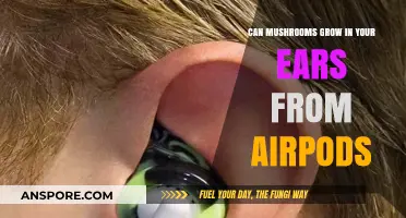 Can Mushrooms Grow in Your Ears from Wearing AirPods?