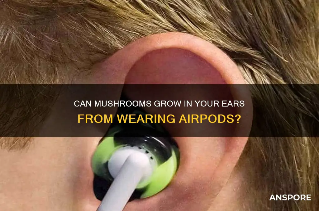 can mushrooms grow in your ears from airpods