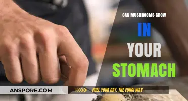 Can Mushrooms Grow in Your Stomach? Debunking Myths and Facts