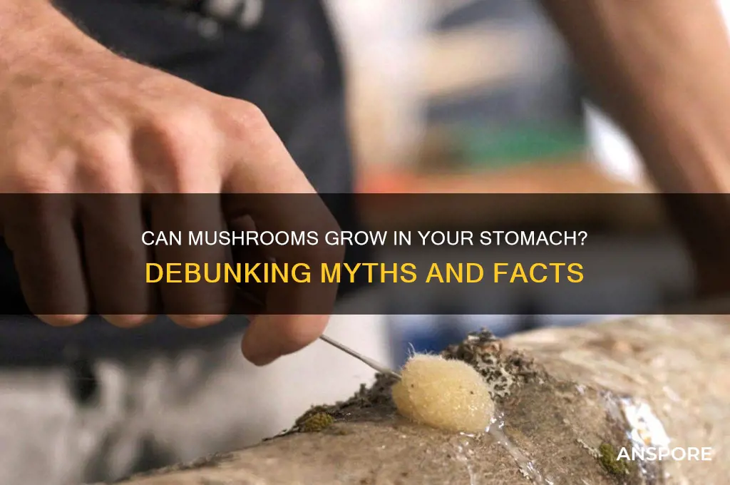 can mushrooms grow in your stomach