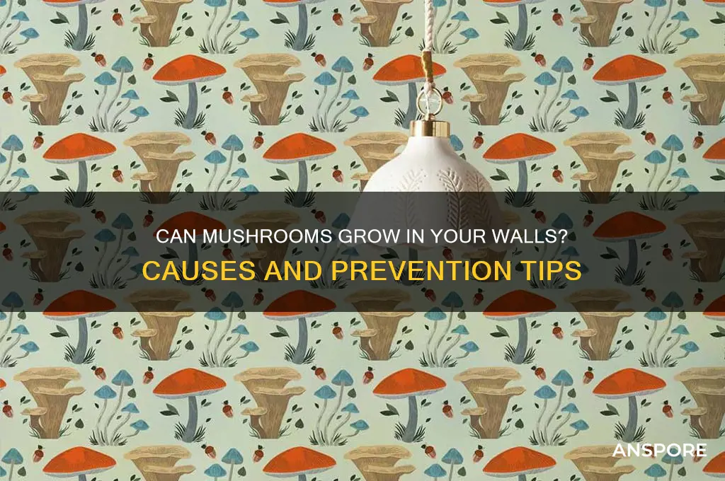 can mushrooms grow in your walls