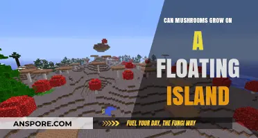 Floating Fungi: Exploring Mushroom Growth on Airborne Islands