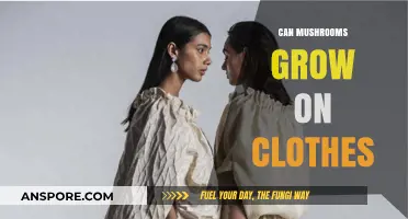 Can Mushrooms Grow on Clothes? Uncovering the Surprising Truth