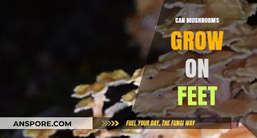 Can Mushrooms Grow on Feet? Uncovering the Truth Behind the Myth