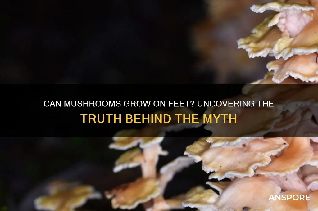 can mushrooms grow on feet