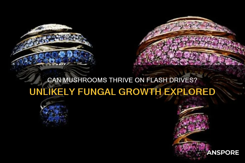 can mushrooms grow on flash