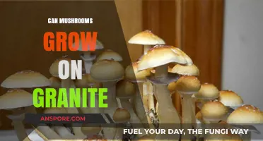 Can Mushrooms Thrive on Granite Surfaces? Exploring Fungal Growth Limits