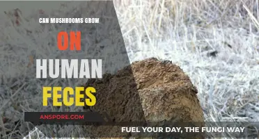 Can Mushrooms Thrive on Human Waste? Exploring Unlikely Growth Conditions