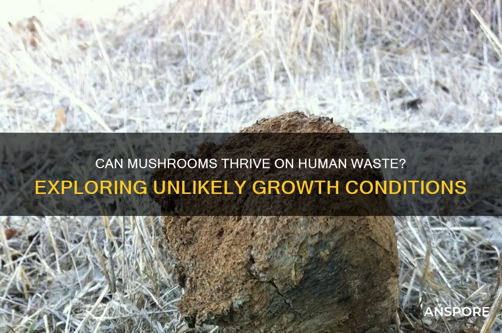 can mushrooms grow on human feces