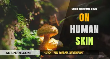 Can Mushrooms Grow on Human Skin? Unraveling the Fungal Truth