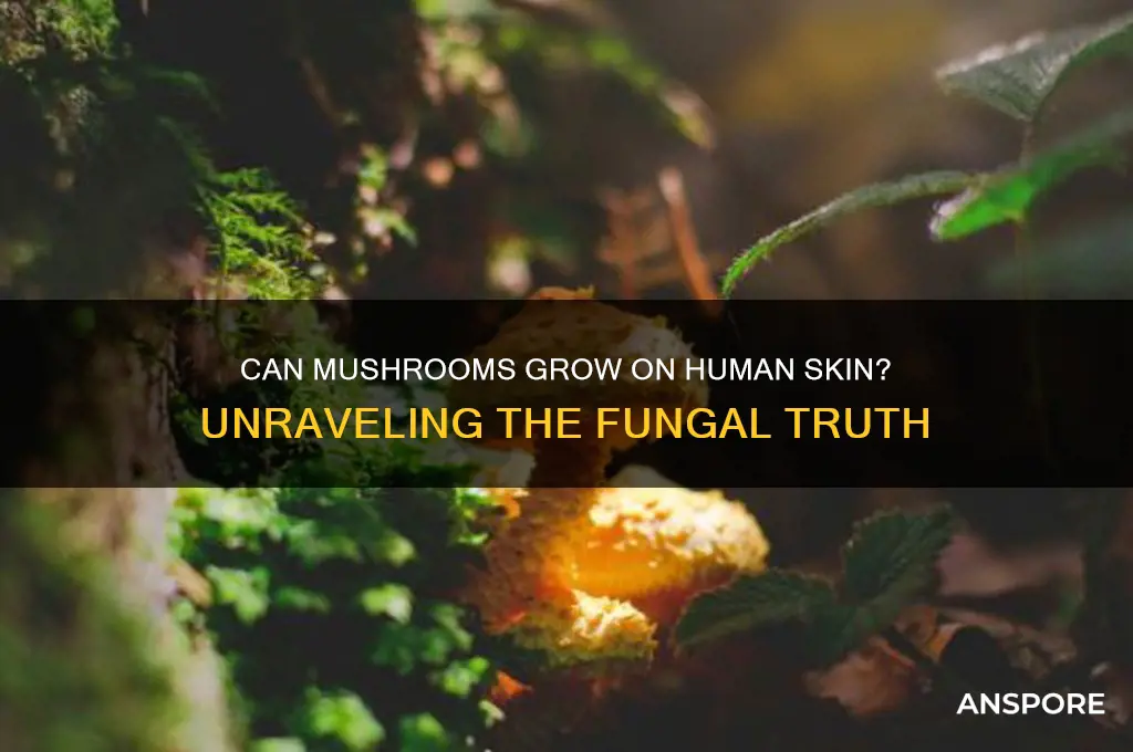 can mushrooms grow on human skin