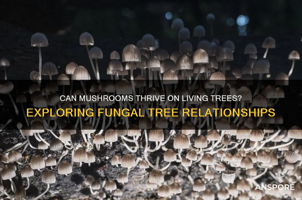 can mushrooms grow on living trees