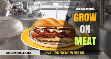 Can Mushrooms Grow on Meat? Exploring Unusual Fungal Habitats