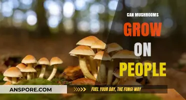 Can Mushrooms Grow on Humans? Uncovering the Truth Behind Fungal Myths