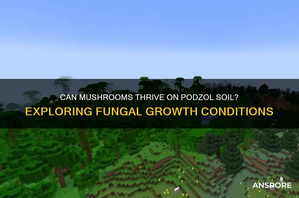 can mushrooms grow on podzol