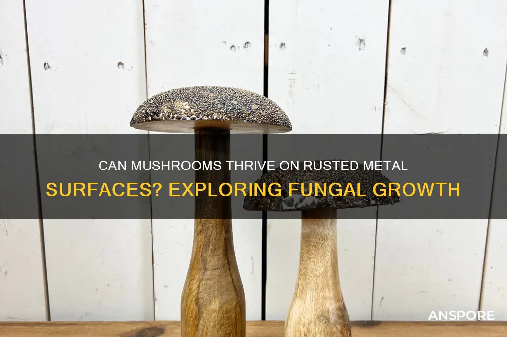 can mushrooms grow on rusted metal