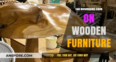 Can Mushrooms Grow on Wooden Furniture? Surprising Facts Revealed