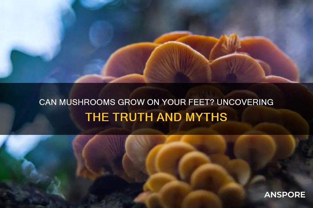 can mushrooms grow on your feet