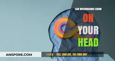 Can Mushrooms Grow on Your Head? Debunking Myths and Facts