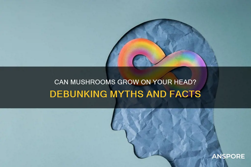can mushrooms grow on your head