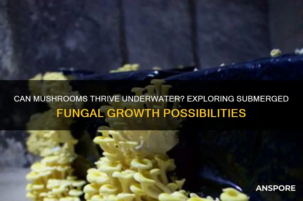can mushrooms grow underwater