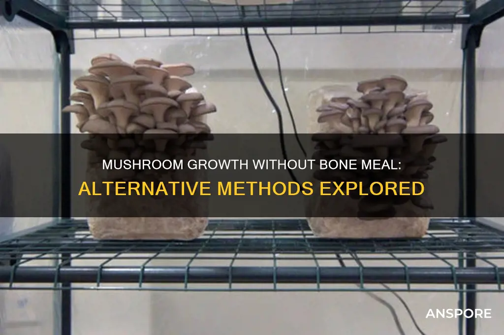 can mushrooms grow without bone meal
