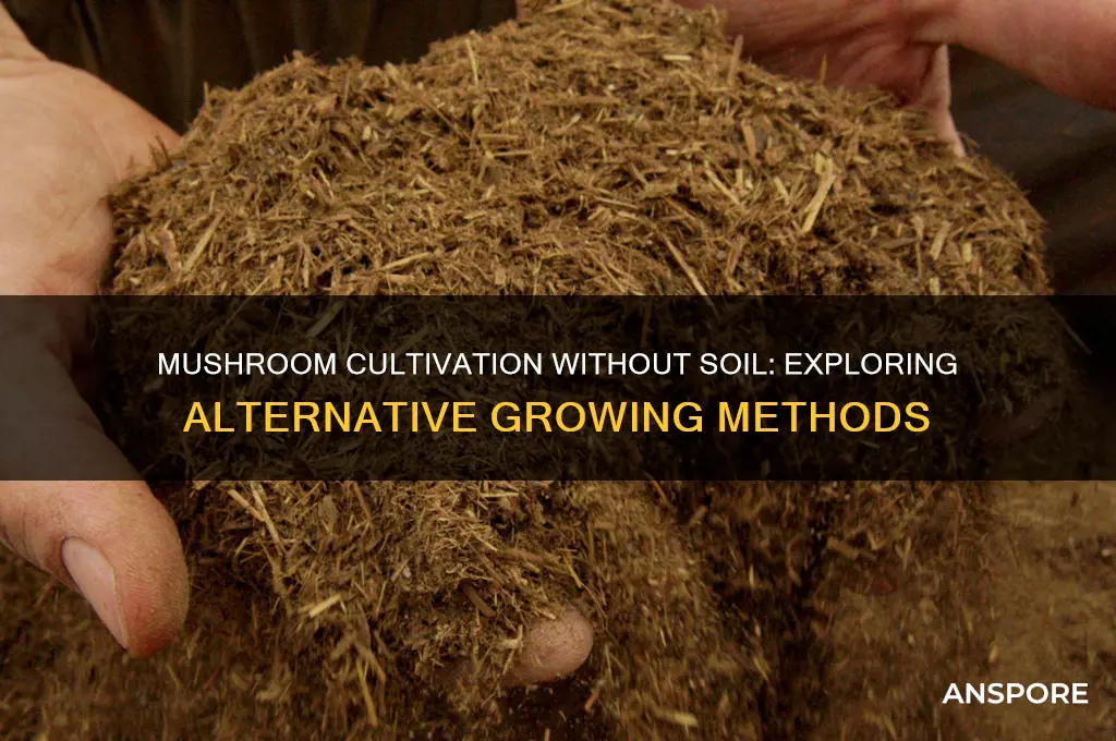 can mushrooms grow without soil