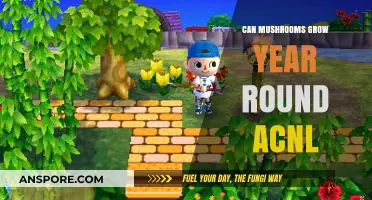 Year-Round Mushroom Cultivation in ACNL: Tips and Tricks