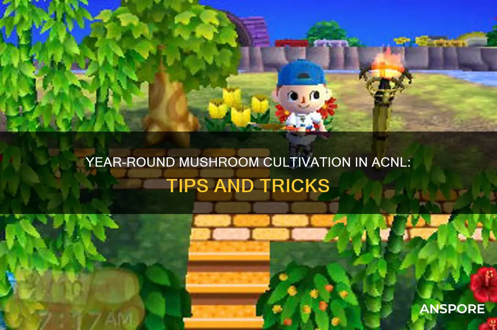 can mushrooms grow year round acnl
