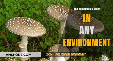 Can Mushrooms Thrive Anywhere? Exploring Their Adaptability to Diverse Environments