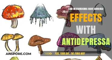 Mushrooms and Antidepressants: Potential Risks and Adverse Interactions Explained