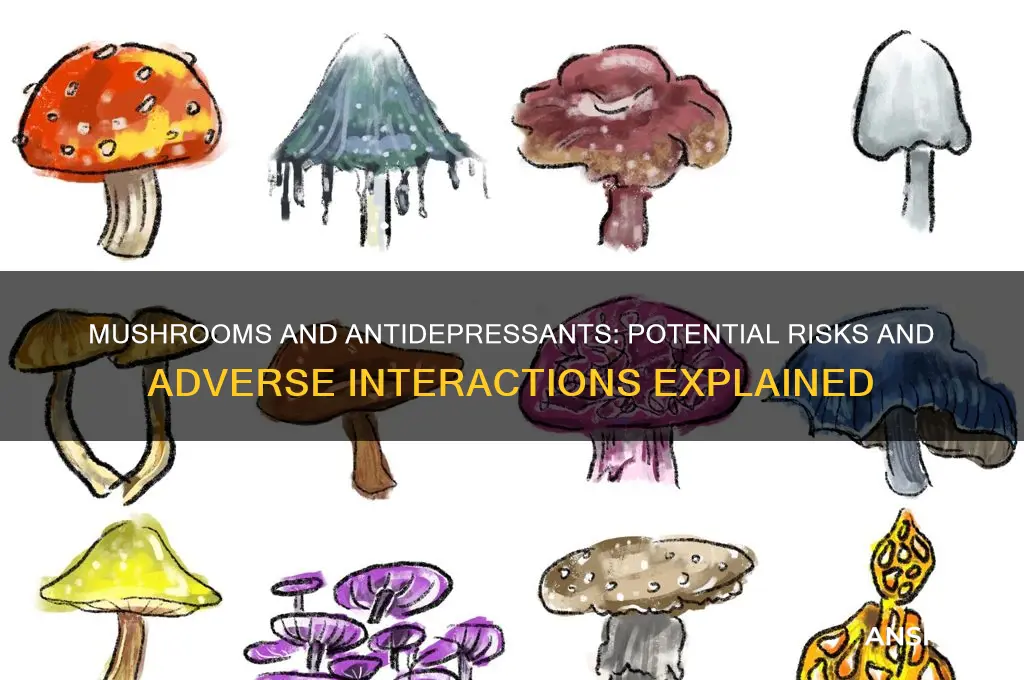 can mushrooms have adverse effects with antidepressants