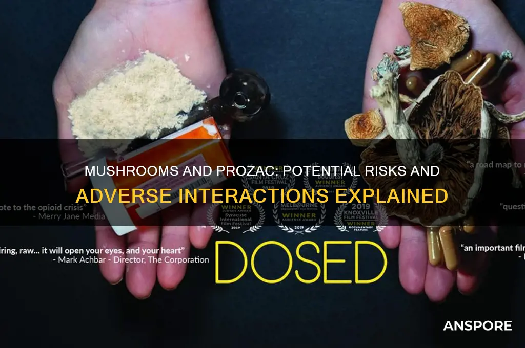 can mushrooms have adverse effects with prozac