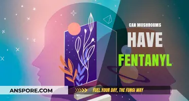 Can Mushrooms Contain Fentanyl? Unraveling the Truth Behind the Myth