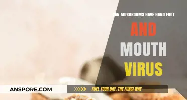 Can Mushrooms Transmit Hand, Foot, and Mouth Disease? Facts Revealed